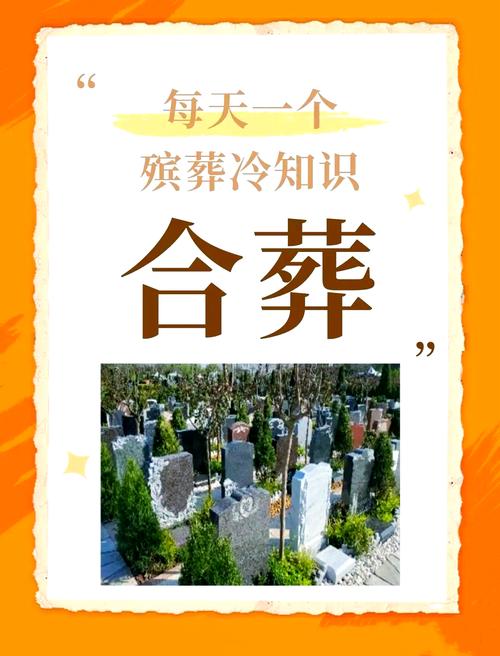 “夫妻合葬”成“父女合葬”!七旬老人受惊晕倒