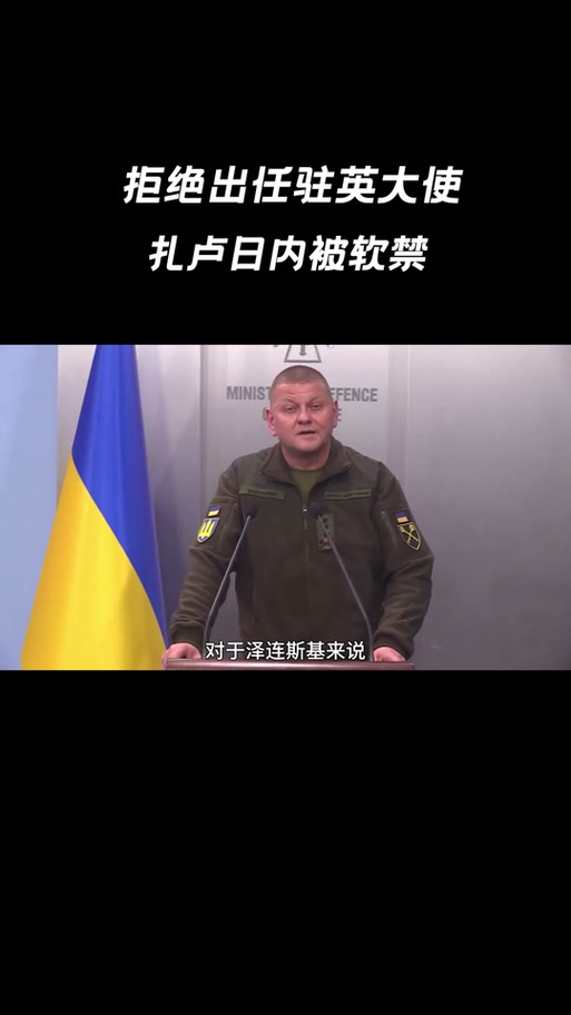 乌总统办公室否认乌军总司令扎卢日内遭解职