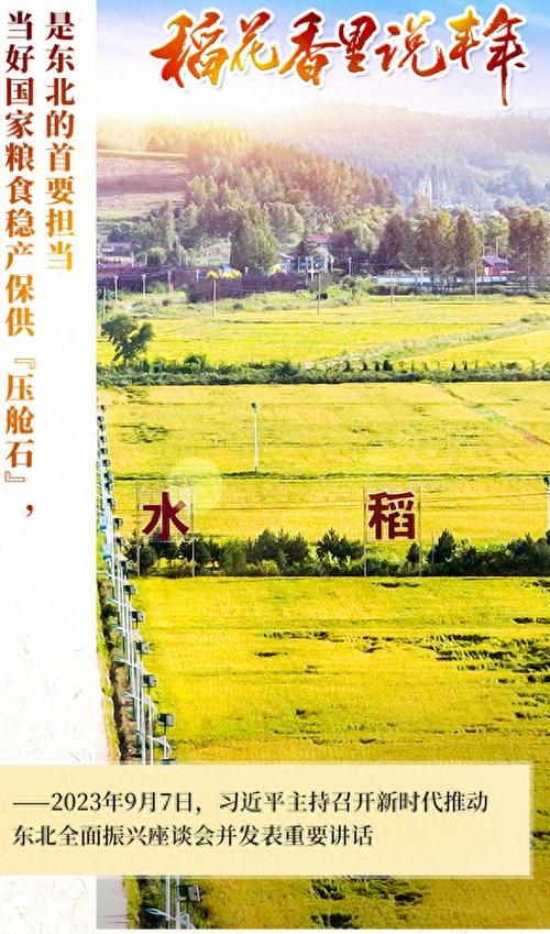 喜获丰收产销忙 森林“粮库”让中国饭碗更“丰富”