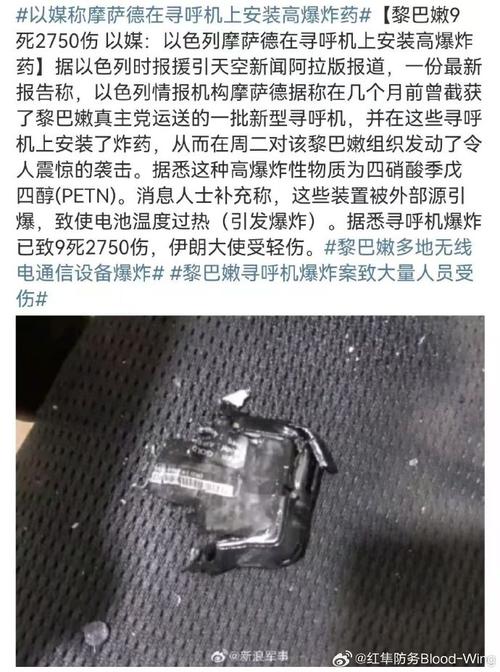 欧盟外交与安全政策高级代表谴责黎巴嫩寻呼机爆炸事件