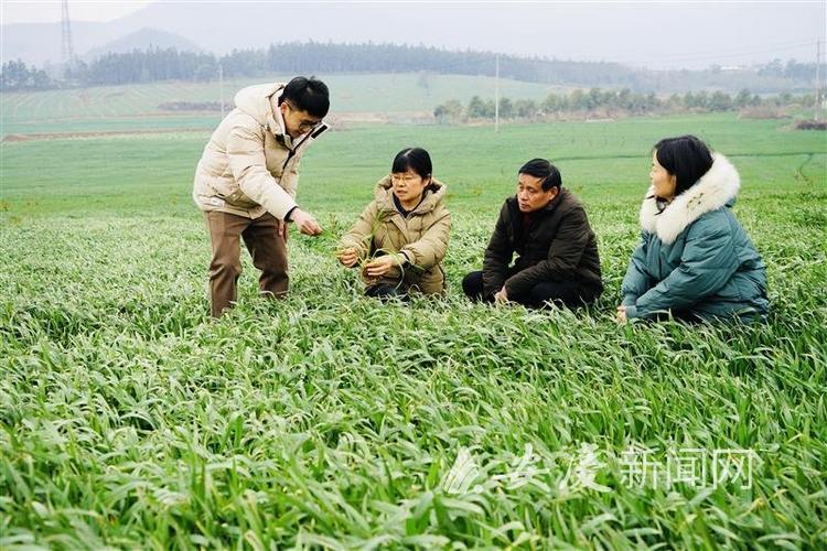 专家指导、备足良种……各地春耕春管正当时