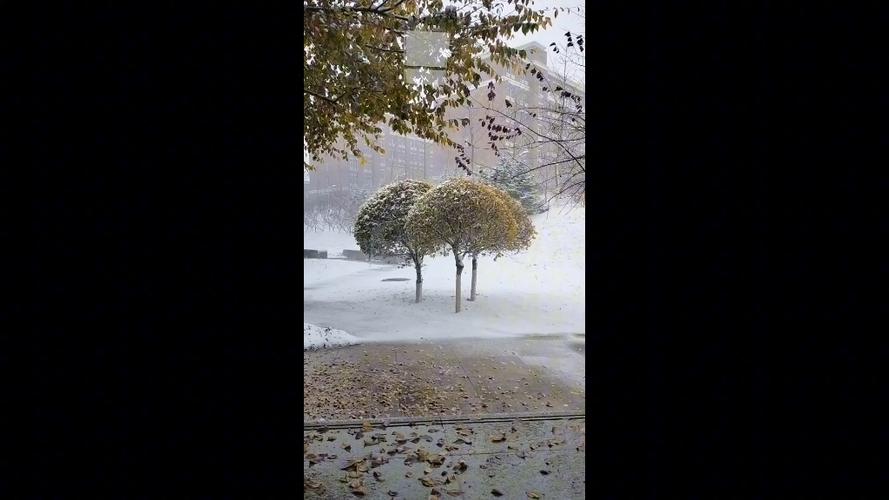 最惨烈的降温来了!南方也有机会见雪 这些地方将一天经历“夏→春→冬”