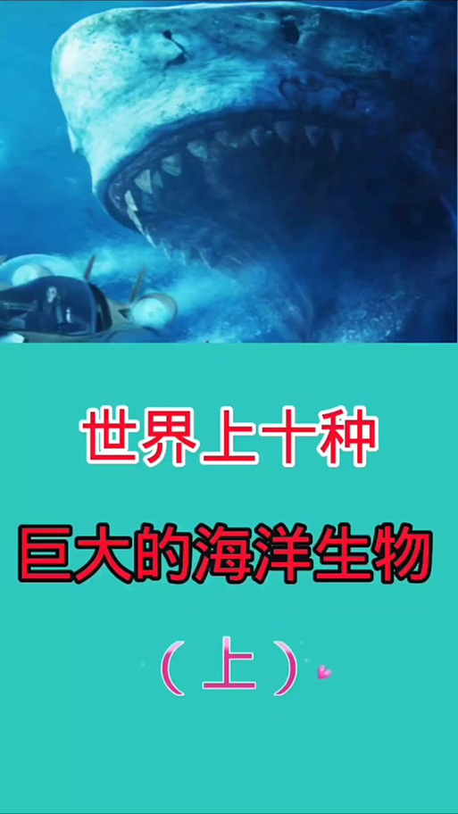 26只海洋生物拍卖了2000多万!最值钱的是……