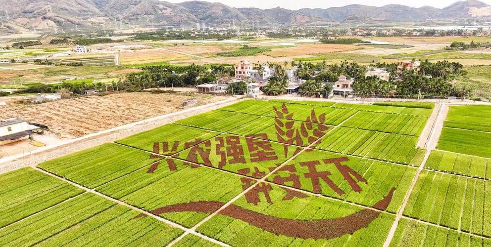 科技助力种业振兴步入快车道