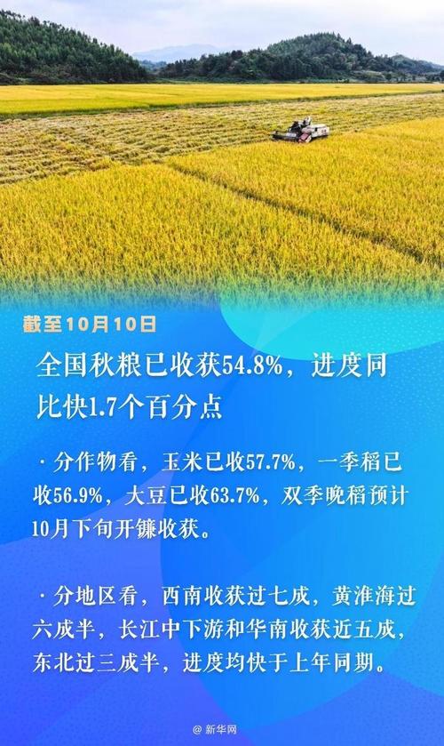 第七个中国农民丰收节来了!全国秋粮有望再获丰收