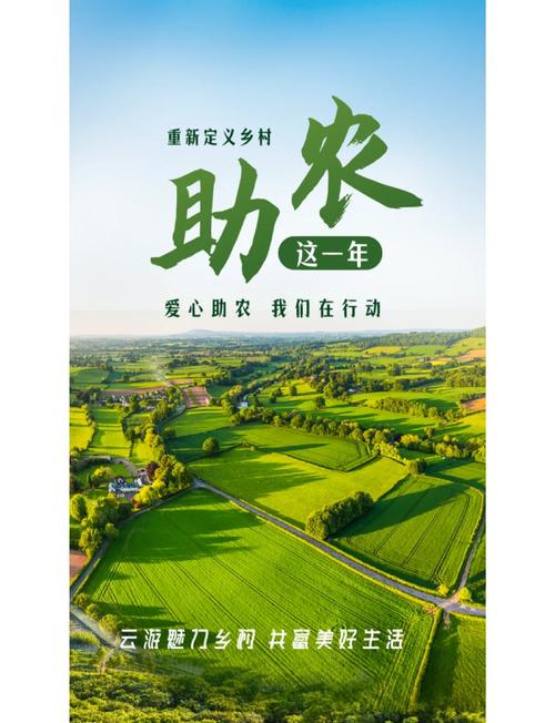 湖南石门:无患子产业激活乡村振兴“新引擎”