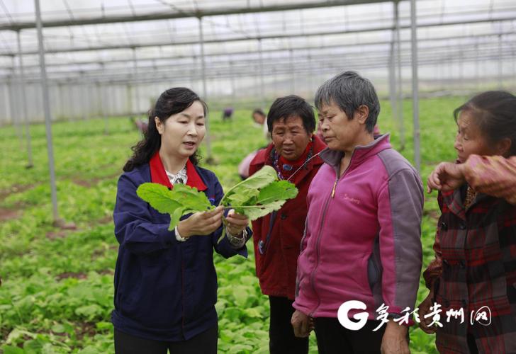 湖南环境生物职院专家团队助力乡村振兴,打造生态宜居家园