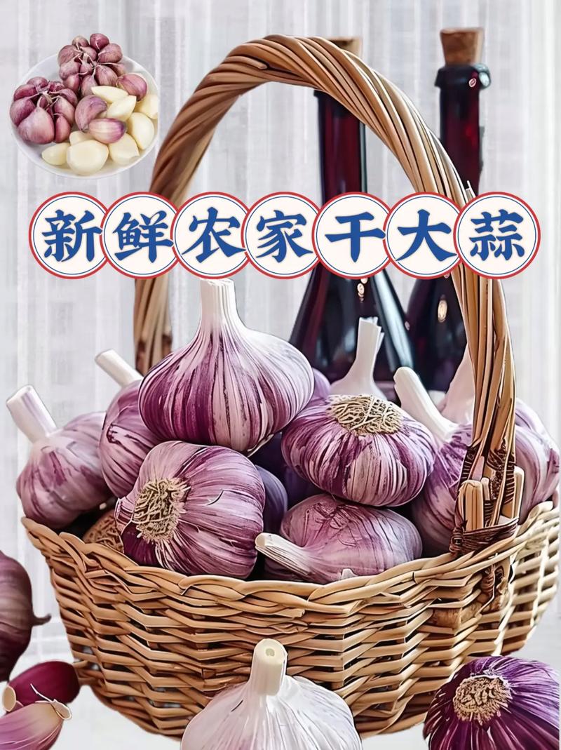 (乡村行·看振兴)内蒙古东部“大蒜之乡”:“气候产品”十里飘香