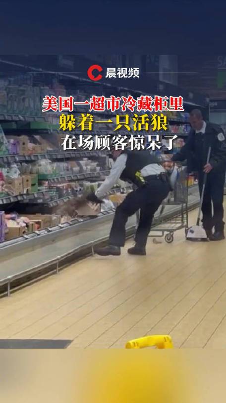 惊呆!超市冷藏柜竟拉出一只活狼……