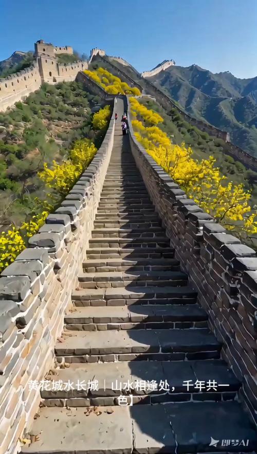 游黄花水长城 共赏壮丽景色 感恩革命先烈