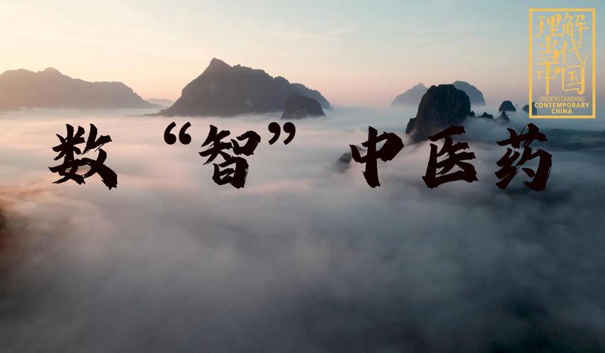 中国将用3至5年打造“数智中医药”