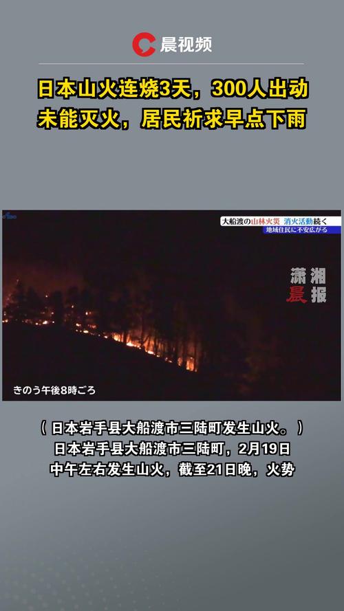 日本广岛县江田岛市一处山林起火 火势仍在蔓延