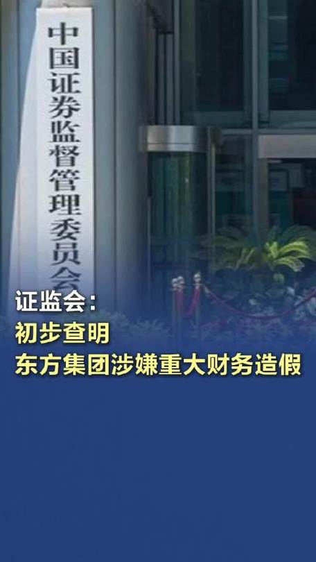 证监会:构建财务造假综合惩防体系