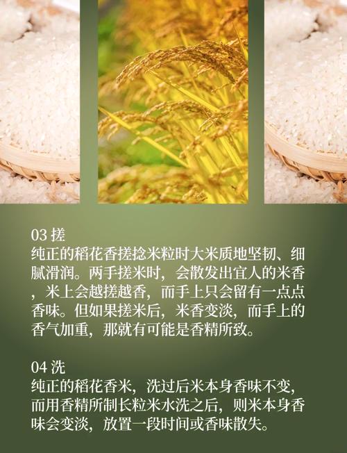 如何挑到好大米?这些内行人才知道的方法教你辨好坏