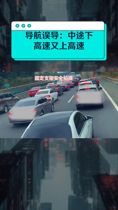 高速停车看导航 这种操作太冒险