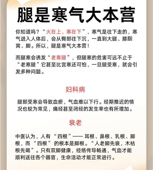 科普|“老寒腿”的夏天保卫战