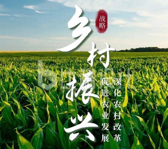 湖南零陵发展家庭农场 振兴乡村有了“新引擎”