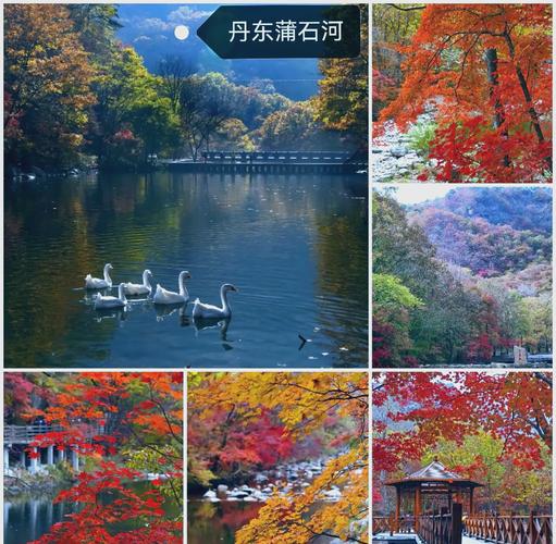 吉林“红叶之城”迎最美时节 邀海内外游客赏秋