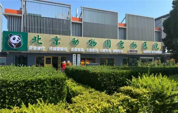 中国内地异宠医疗服务渐兴:商机大亦待规范