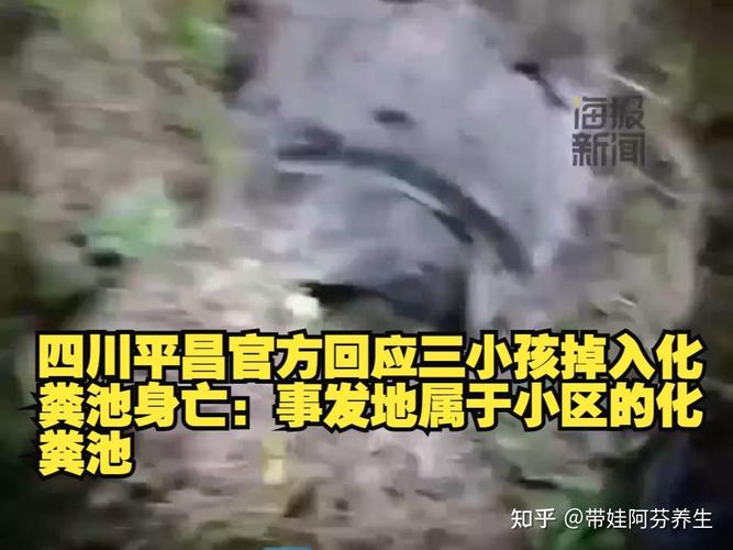 痛心!四川平昌三名孩童在小区草坪玩耍掉入化粪池,当地:均不幸离世