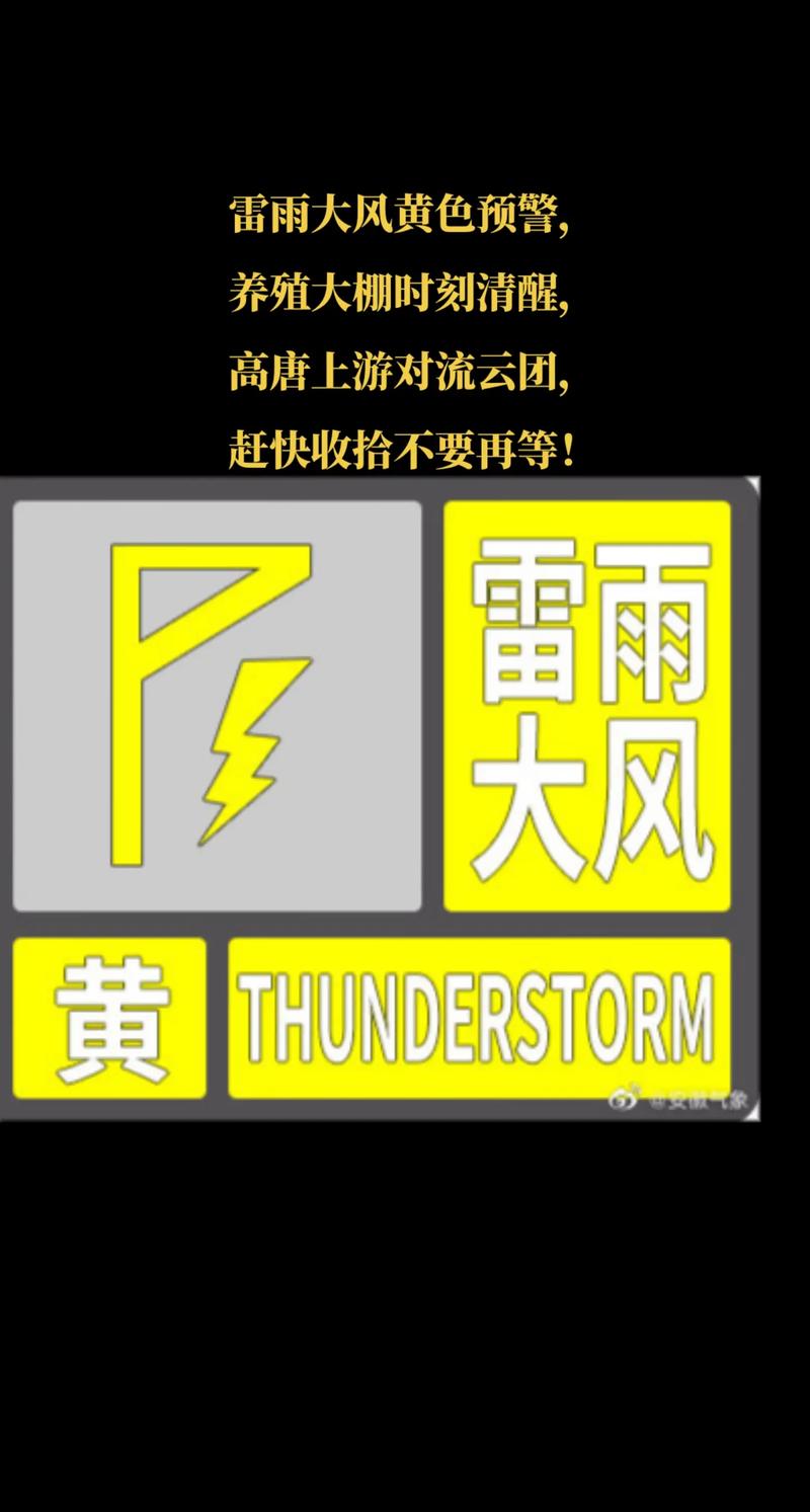 湖南省芷江侗族自治县发布雷雨大风黄色预警