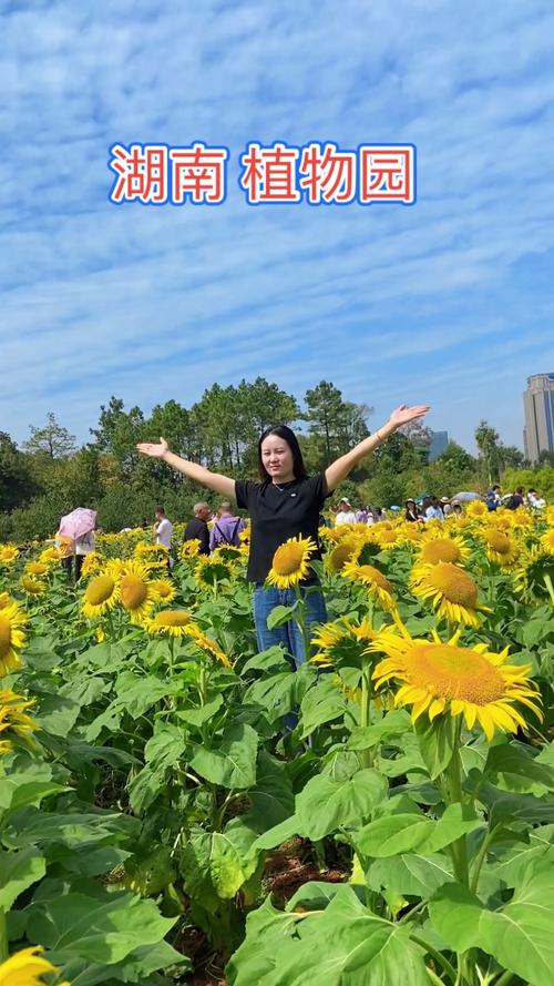 湖南省植物园游客爆增,避堵攻略来了!