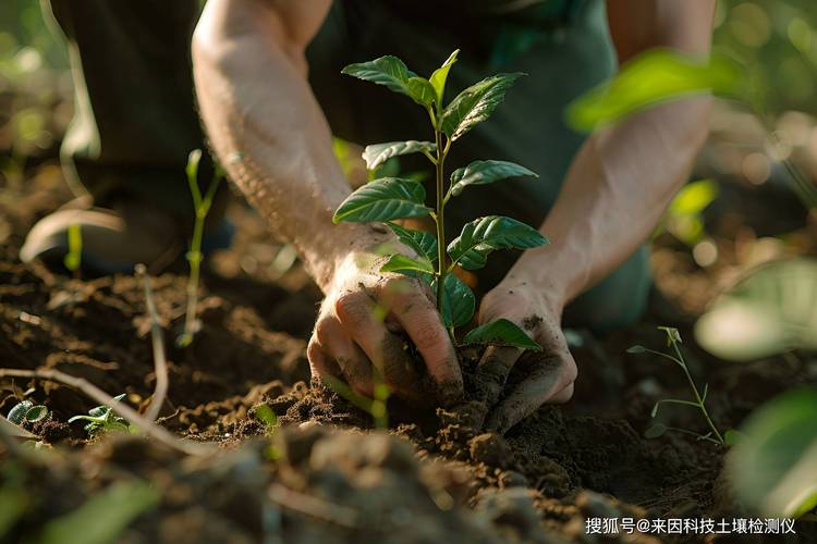 从基层沃土汲取拔节生长的养分