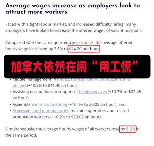 官方数据:近三成15岁以上加拿大人身处财务困难家庭