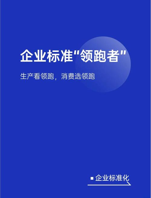 参与标准制定 加速行业“领跑”