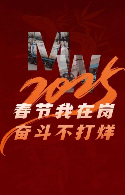 海南控股旗下11个项目春节期间不停工:火红年味里火热奋斗
