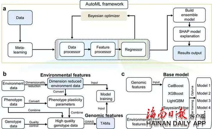 我科学家成功研发作物智慧育种新算法