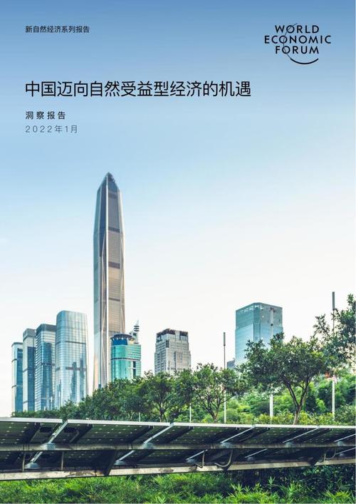 共话中国经济新机遇｜综述：法国“电池谷”期待从与中国新能源企业合作中获益
