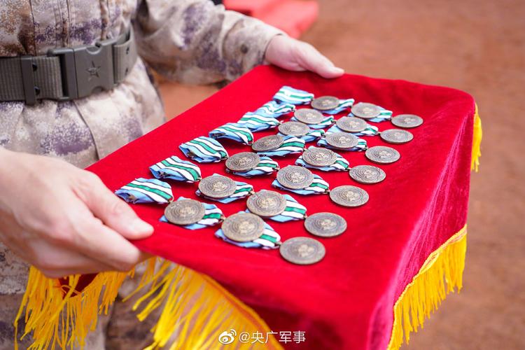 我维和步兵营官兵获联合国“和平荣誉勋章”