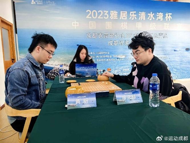 成都围棋队赢得围甲榜首大战