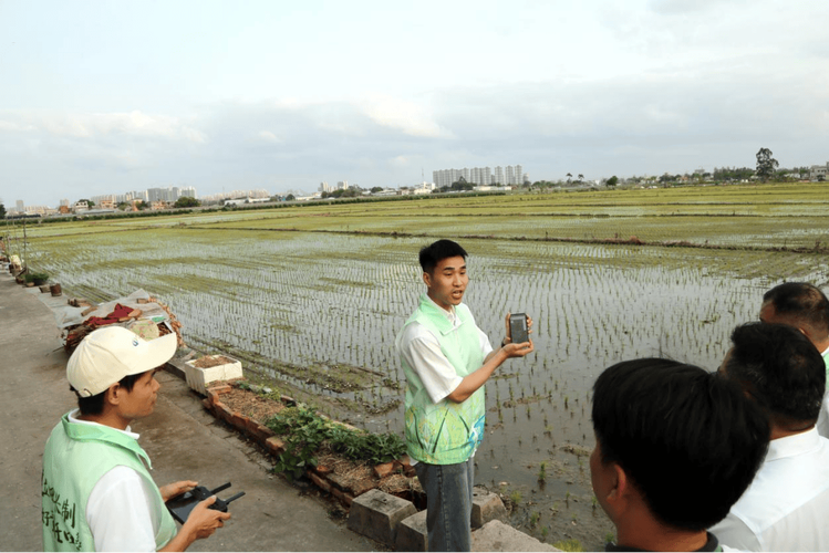耒阳:5451 名“湾村明白人”聚起耕地保护合力