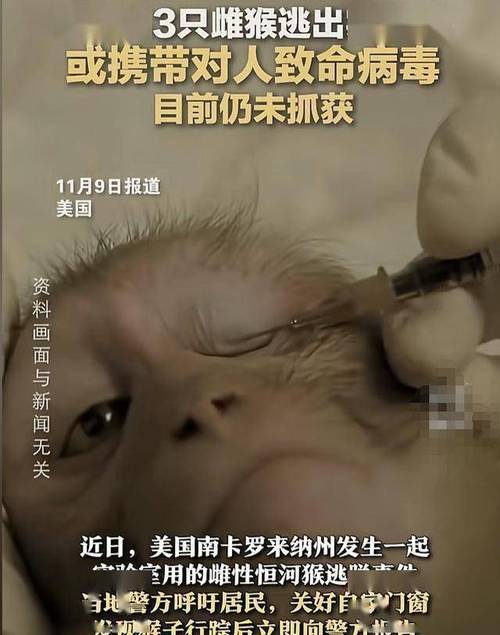 43只实验猴从医学研究机构逃脱!警方:没有感染任何疾病,不会造成伤害