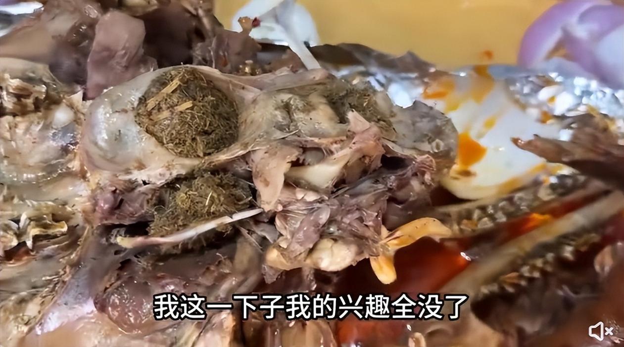 江西抚州通报“博主吃卤羊头发现异物”:情况属实 将严肃查处