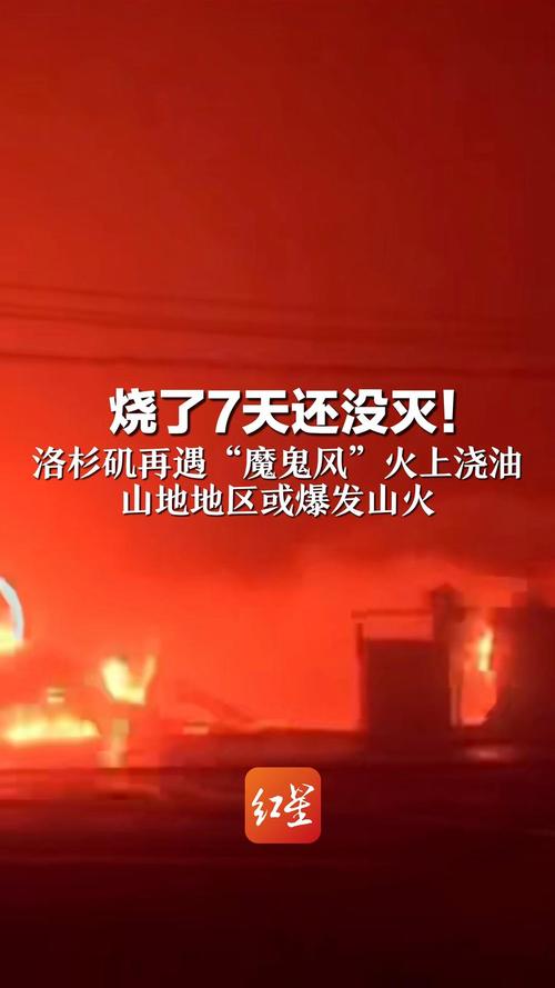 强风助燃山火 洛杉矶面临最高等级火险警报