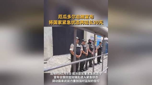 厄瓜多尔总统:国家正处在“战争状态”