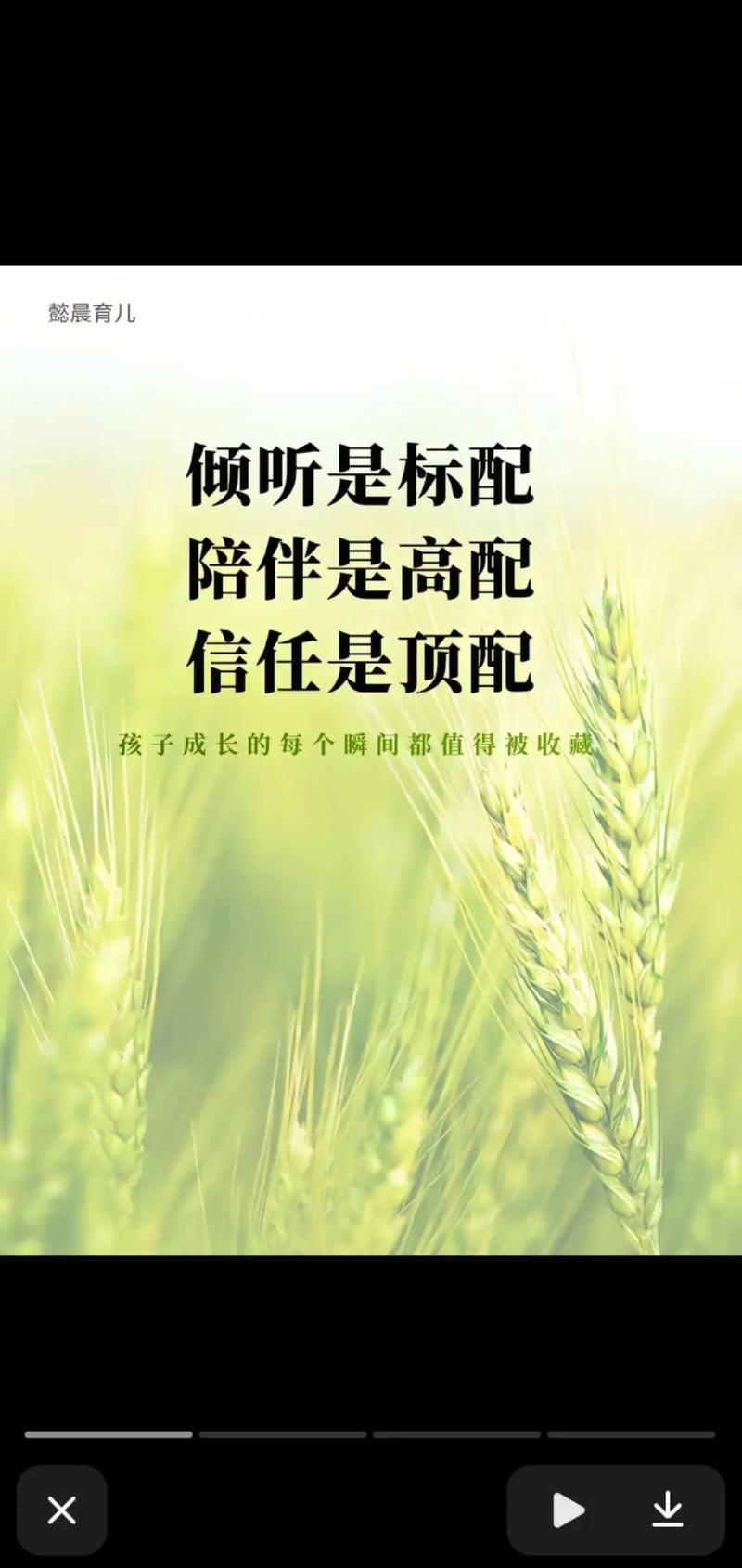 精益求精 追求卓越(倾听)