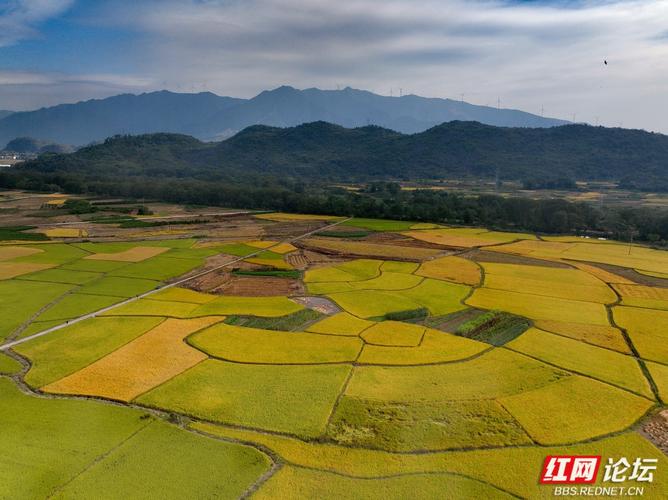江永:田园斑斓 秋景如画