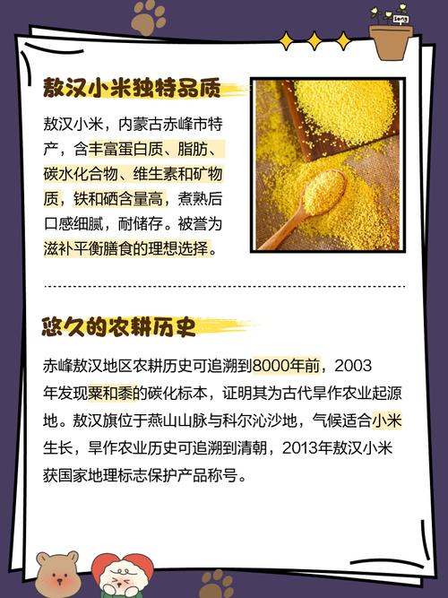 内蒙古敖汉旗着力延链条、强品牌、促增收小米长成大产业