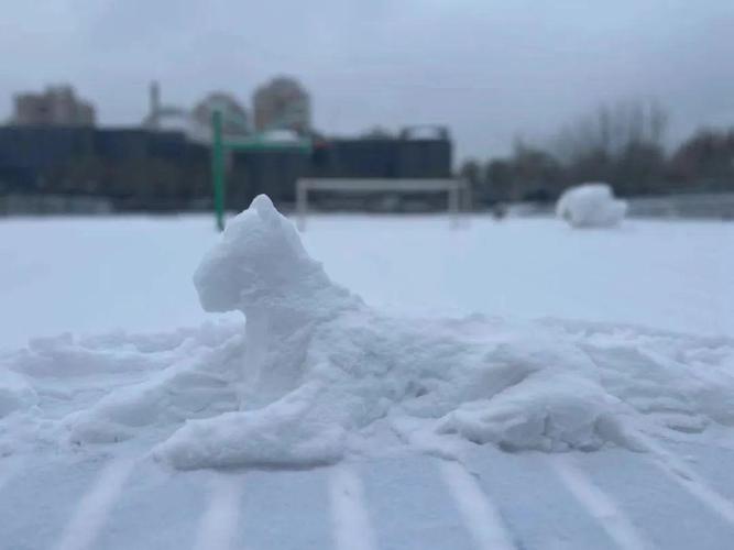 北京高校雪人“开卷”?这个,有点“潦草”了……