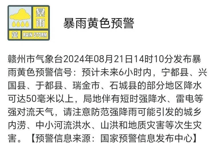 江西省赣州市发布雷电黄色预警_7