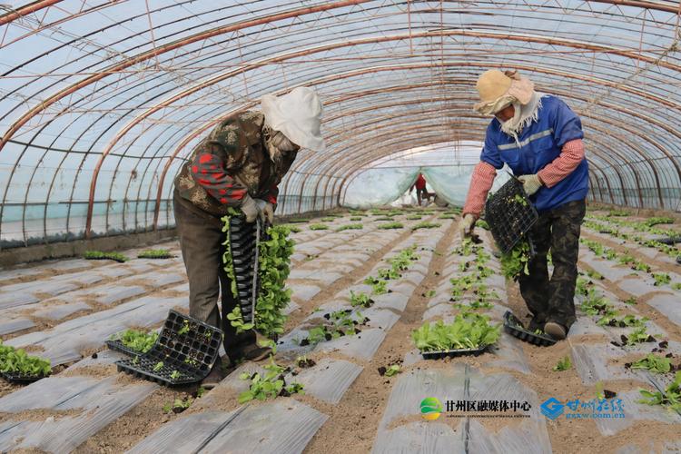 青海黄南:抢抓农时备春耕 力促农牧业首季“开门红”