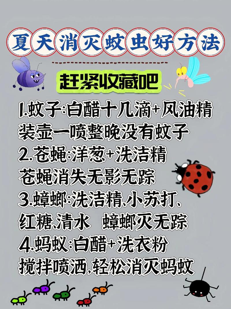 做好3件事,蚊子不进你家门!驱蚊妙招用起来