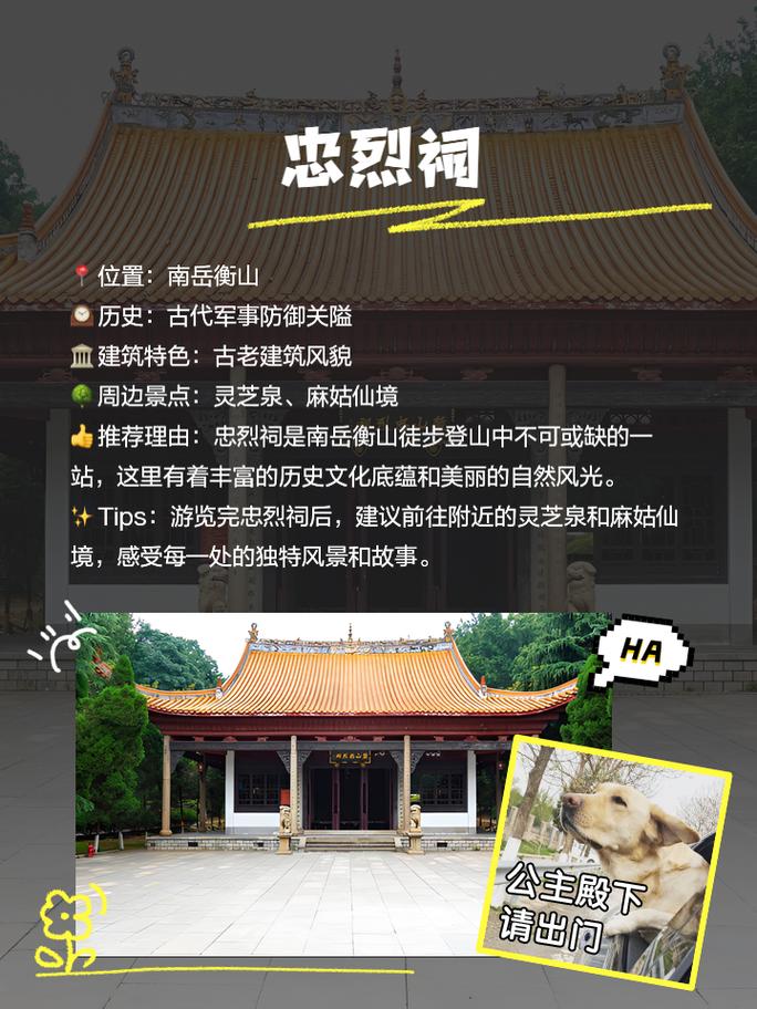 全国知名作家“打卡”衡山:赏南岳秀美 品厚重人文
