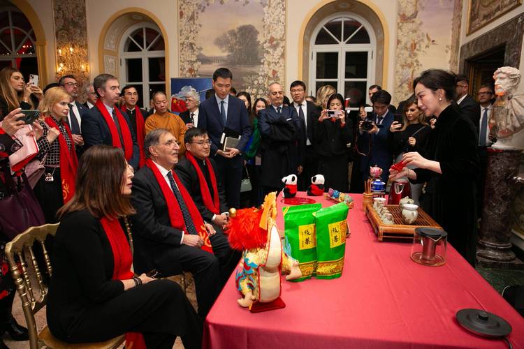 我驻多国使领馆举办活动 共迎新春佳节
