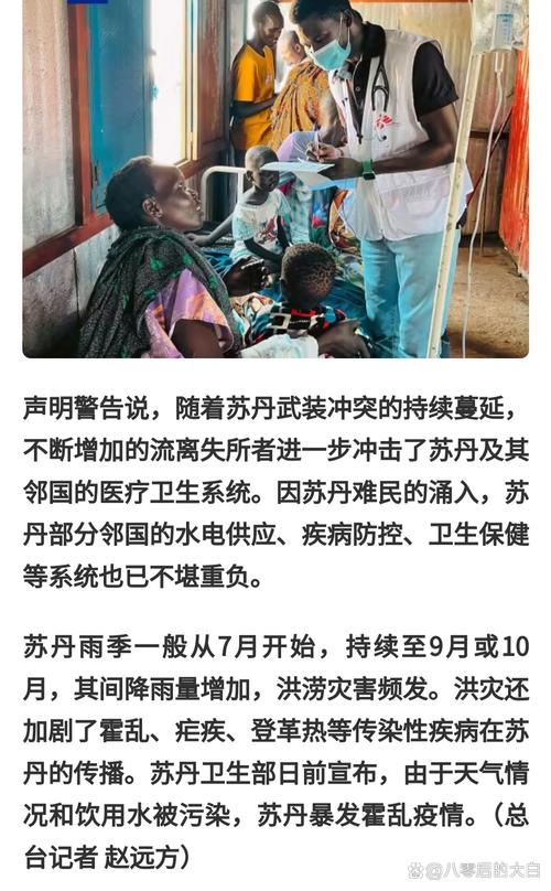 世界卫生组织:苏丹自武装冲突爆发以来已报告约130万例疟疾病例