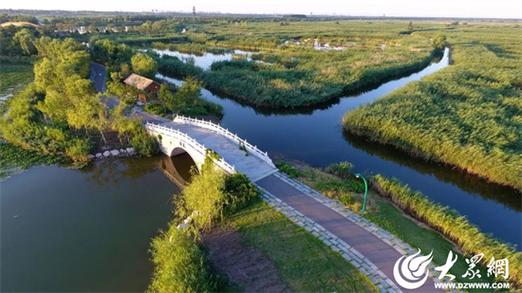 山东探索湿地资源化利用 邀民众共享生态“红利”